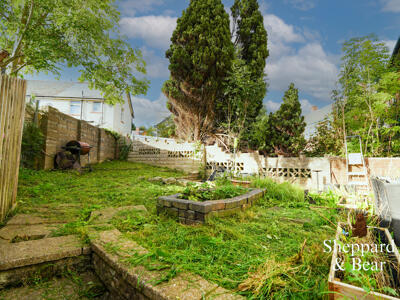 Picture 30